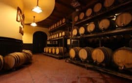 Bar Debay- Wine Cellar