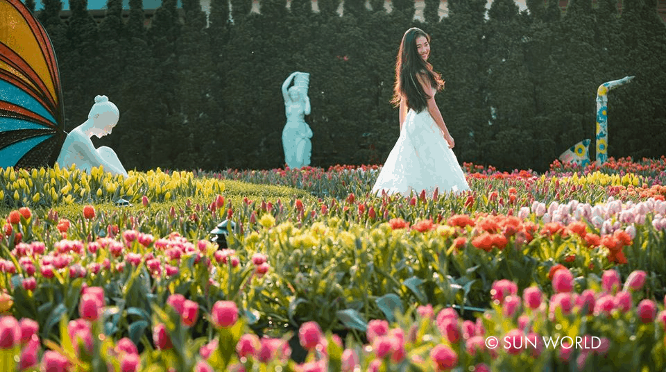 Vườn hoa Le Jardin D'amour đầy lãng mạn với không gian tuyệt đẹp