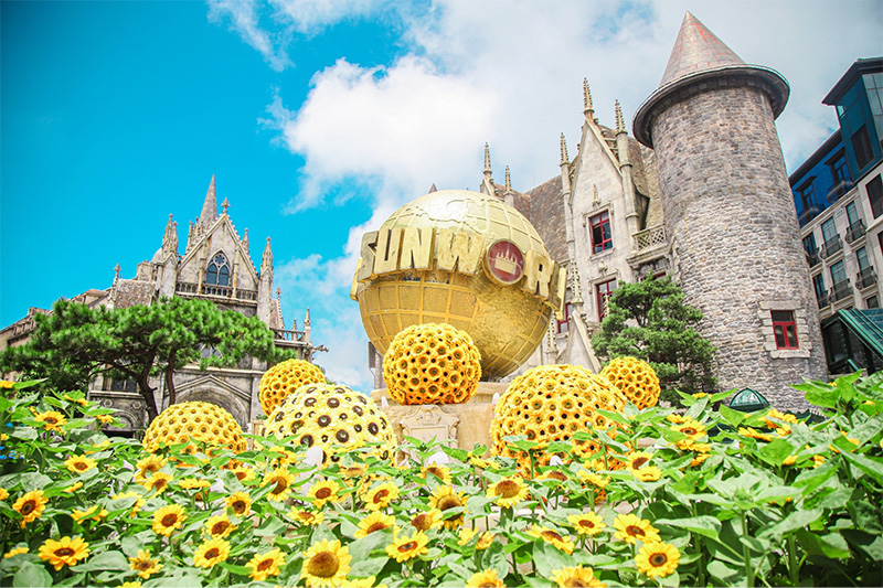 The Autumn Atmosphere At Ba Na Hills Adorned With Vibrant Sunflower Fields
