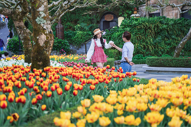 The Impressive Multi Colored Tulip Garden Is A Must Visit Spot During The Spring Flower Festival