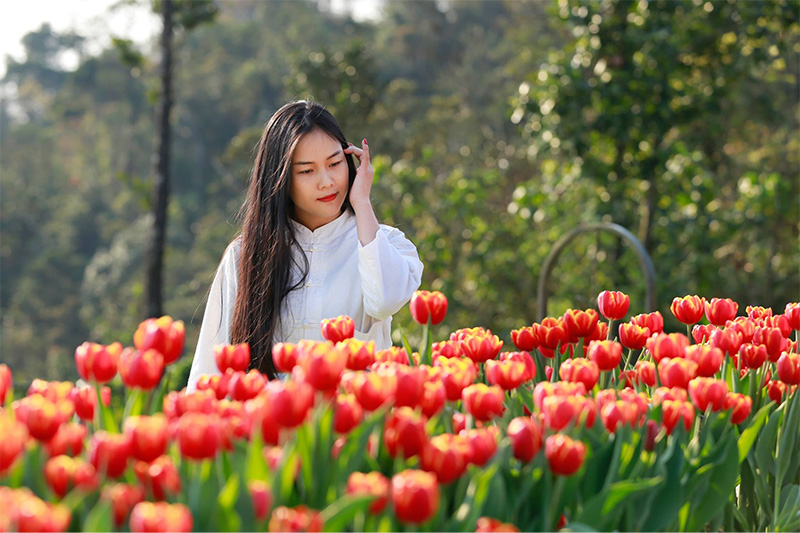 The Romantic Scene Amidst The Tulip Forest Is Sure To Captivate Women